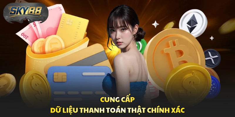 Cung cấp dữ liệu thanh toán thật chính xác