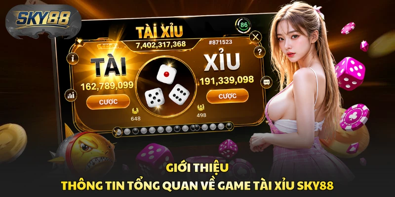 Giới thiệu thông tin tổng quan về game Tài Xỉu Sky88