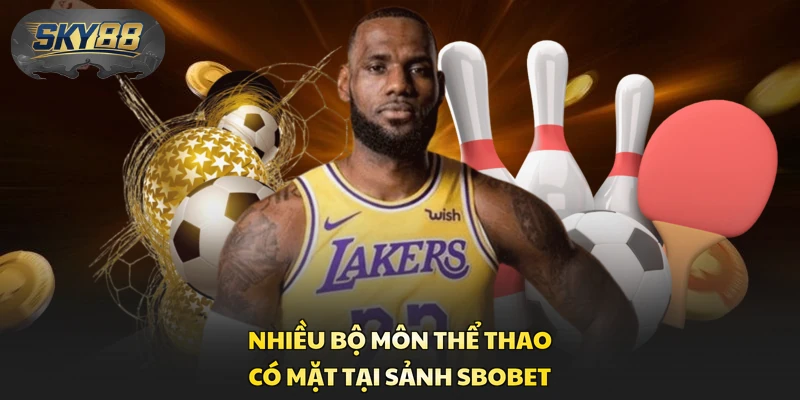 Nhiều bộ môn thể thao có mặt tại sảnh SBOBET