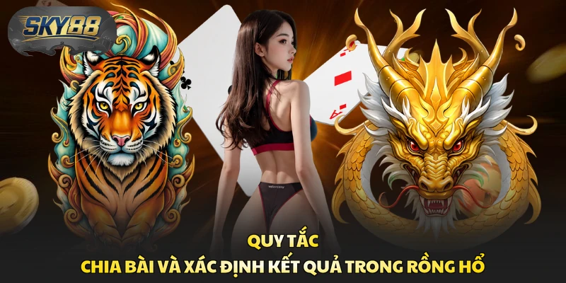 Quy tắc chia bài và xác định kết quả trong Rồng Hổ