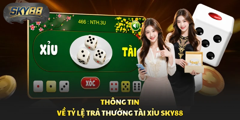 Thông tin về tỷ lệ trả thưởng Tài Xỉu Sky88
