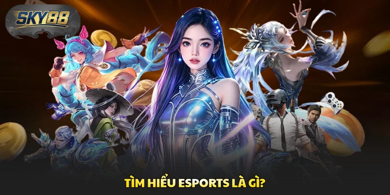 Tìm hiểu Esports là gì?