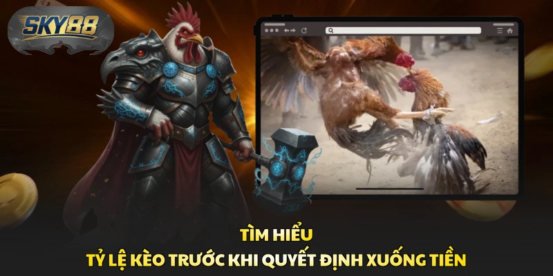 Tìm hiểu tỷ lệ kèo trước khi quyết định xuống tiền