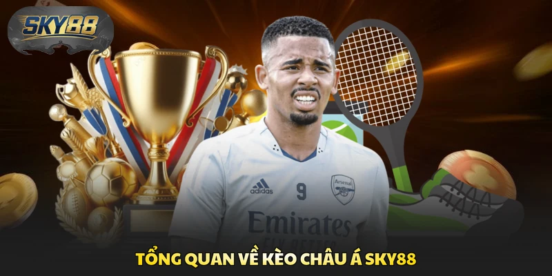 Tổng quan về kèo châu Á Sky88